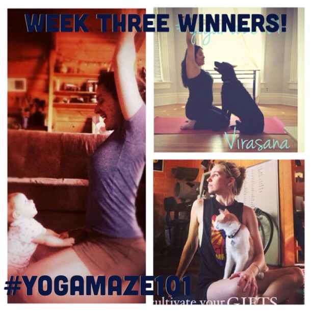 yogamaze101Week3Winners