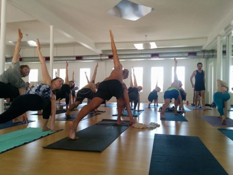 Matrices of Vinyasa